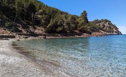 cala tuent