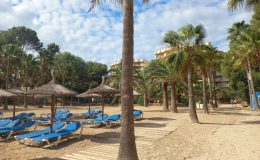 cala vinyes-small