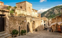 pollenca-small